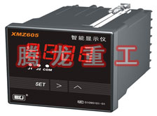 溫度表、數(shù)字顯示儀、濕度表