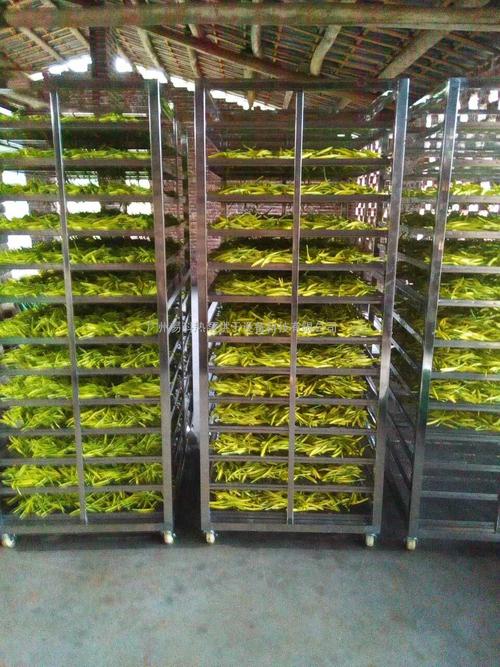 黃花菜烘干機、黃花菜烘干設備、黃花菜干燥機、黃花菜干燥設備、
